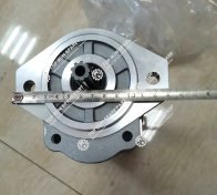 hydraulic pump  1010000281 (2)