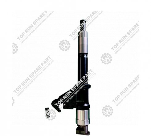 injector VG1096080010 wd615.338