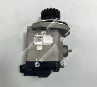 steering pump  QC2513-XZ  803000307 (4)