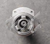 未标题-4_0001_Gear pump 20100603 & 20100604 (4)