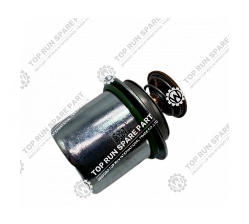 Thermostat 800167502