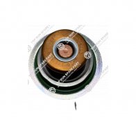 Thermostat 800167502 (1)