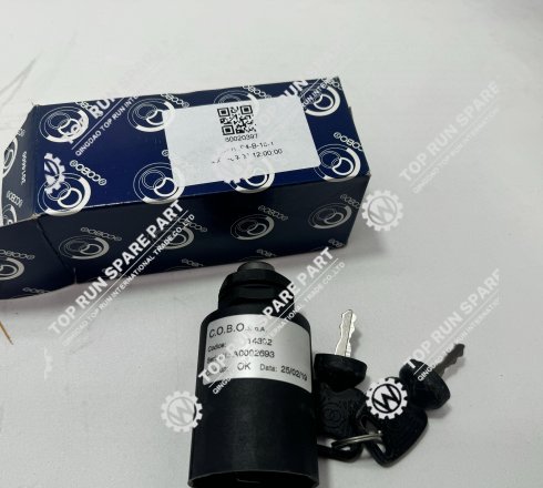 Switch GP Key 60020397