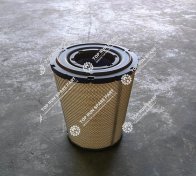 Ail filter P780522 (1)