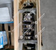 Crankshaft Assembly 1000175063 (1)