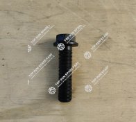 Connecting Rod Bolt 610800030075 (2)