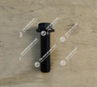 Connecting Rod Bolt 610800030075 (1)