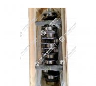 Crankshaft Assembly 1000175063