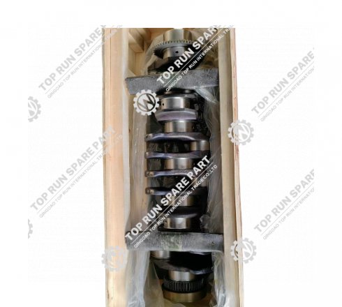 Crankshaft Assembly 1000175063
