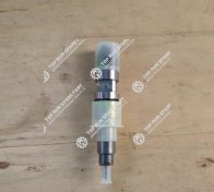 Fuel Injector 612640090001 (1)