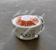 Fuel filter 800172107 (2)
