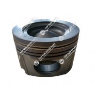 Piston 610800030080