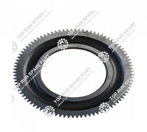 Oil Pump Gear 612630020008 1000428205