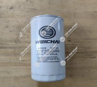Oil Filter Element 1000442627 (3)