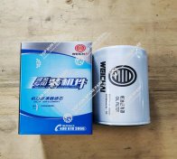 Oil Filter Element 1000428205 (1)