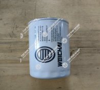 Oil Filter Element 1000428205 (2)