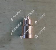 Injector Bush 610800040028 (1)