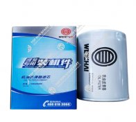 Oil Filter Element 1000428205