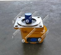 Pump 803043375 (3)