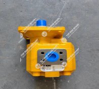 Pump 803043375 (2)