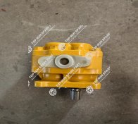 Gear pump 16Y-76-06000 (2)