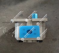 Gear pump 16Y-61-01000 (1)