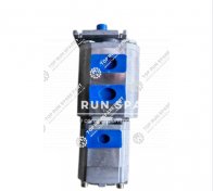 Hydraulic Pump 803000260
