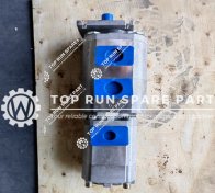Hydraulic Pump 803000260 (1)
