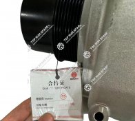 Water Pump Assembly 1002280915  (9)