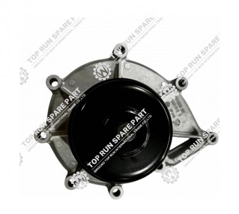 Water Pump Assembly 1002143349 for weichai spare parts