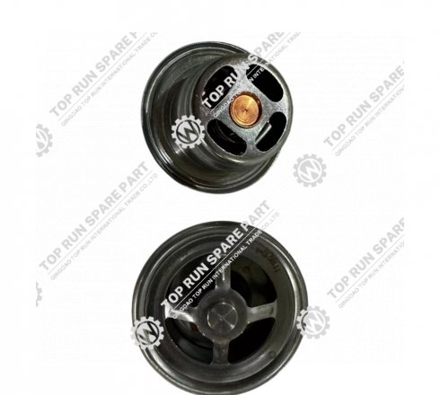 Thermostat C22AL-1118010+A for SDEC