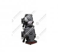 Casappa Tendem pumps  (3)