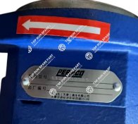 2.Hydraulic Pump 1121302385 803011197 