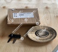 Fuel Tank Cap J221-05D-140000 (1)