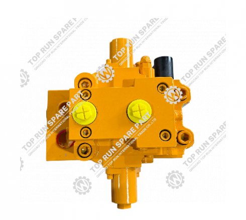 Swing Buffering valve 803002832