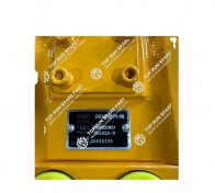 Swing Buffering valve 8030028321 50K (3)