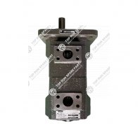 Gear pump 101000079 (3)