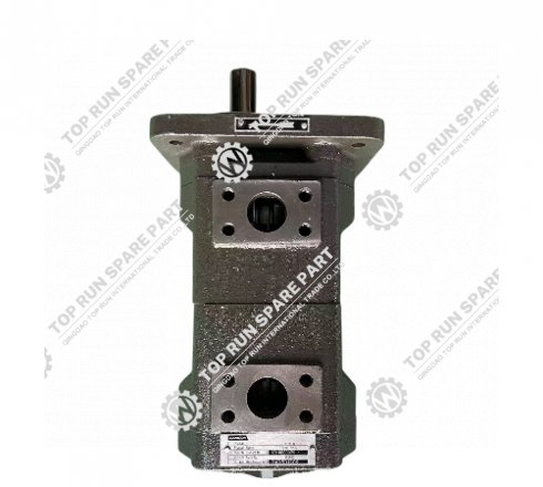 Gear pump 101000079