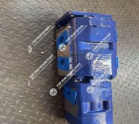 High Pressure Gear Pump 11631340081 (8)