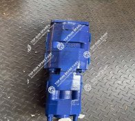 High Pressure Gear Pump 11631340081 (1)