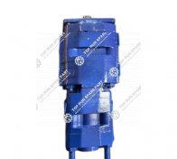 High Pressure Gear Pump 11631340081 (1)