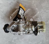 2169824  CAT injection pump (1)