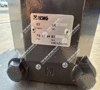 Swing motor 803089805 (4)