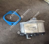 Steering pump 804024842 (1)